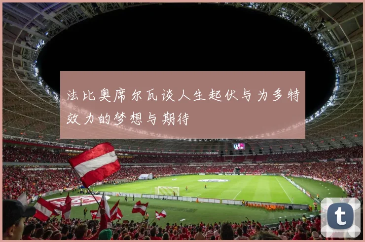法比奥席尔瓦谈人生起伏与为多特效力的梦想与期待