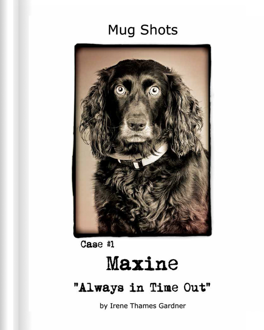 A humorous dog photography book by Irene.